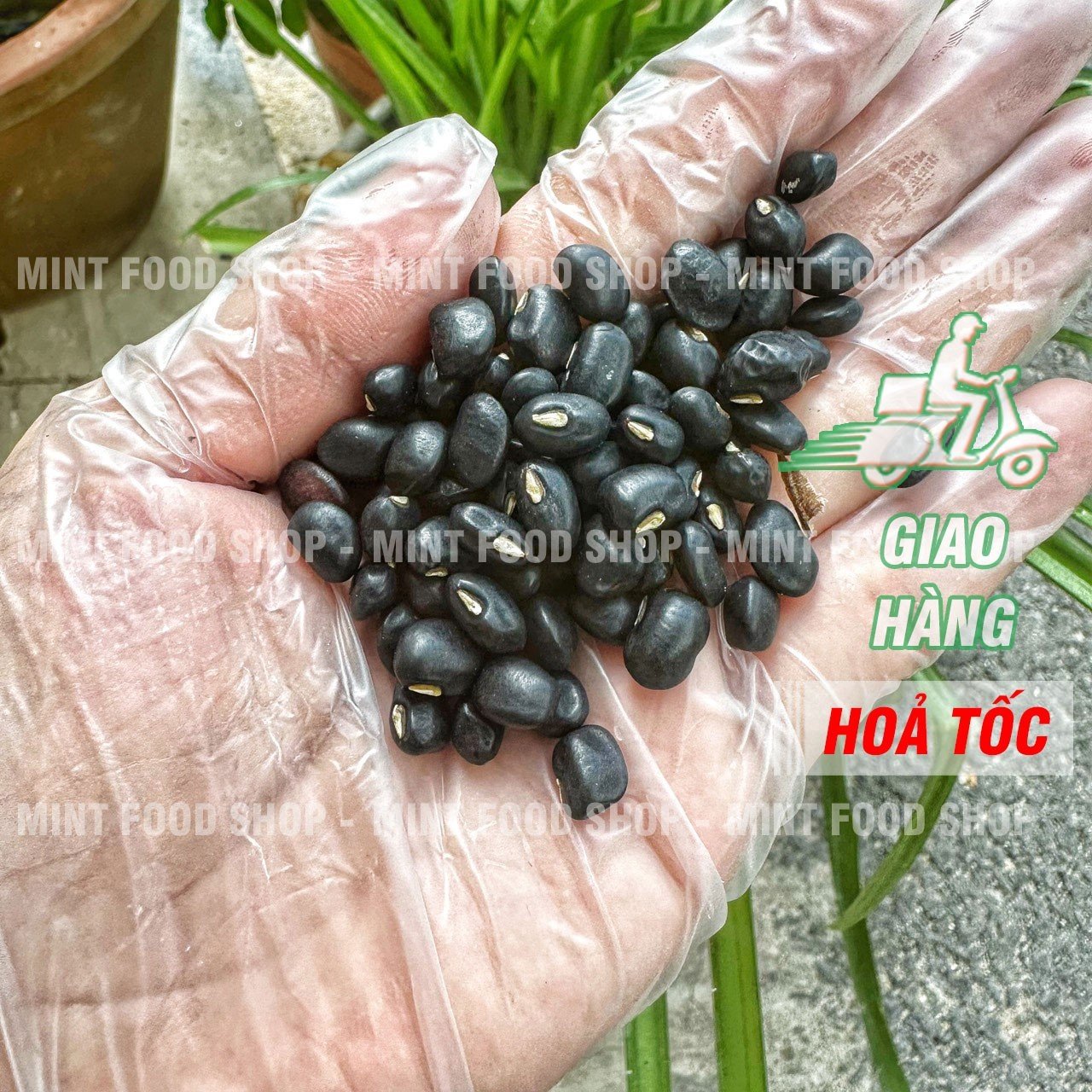 Dried yellow black bean 500gram bag