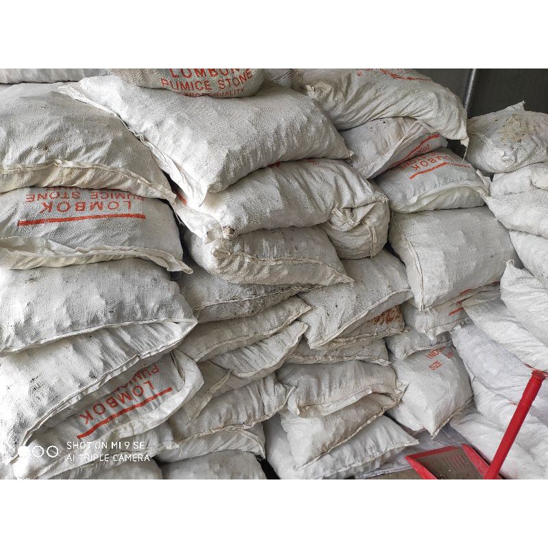 Đá lông vũ indo 2-4 , 500g nham thạch trắng đá bọt