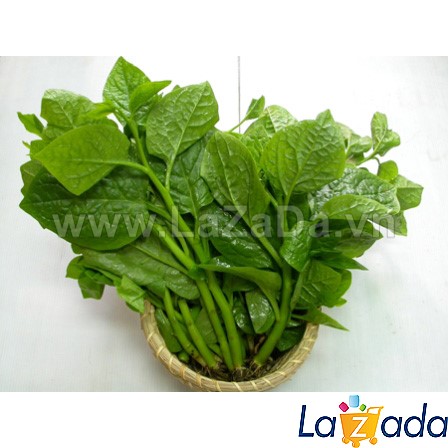 1KG Hạt Giống Rau Mồng Tơi (| Y1*W32)