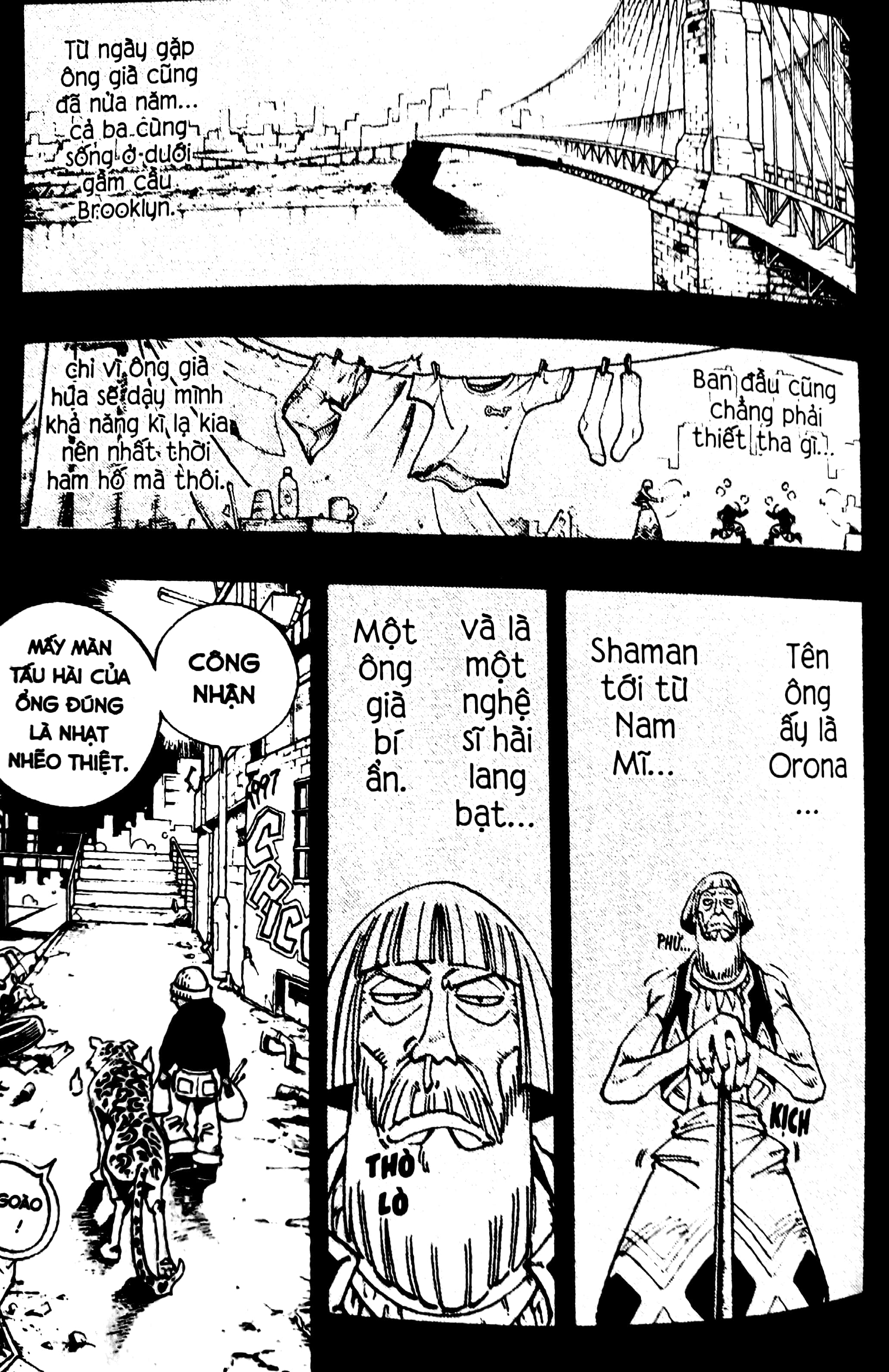 Fahasa - Shaman King - Tập 14