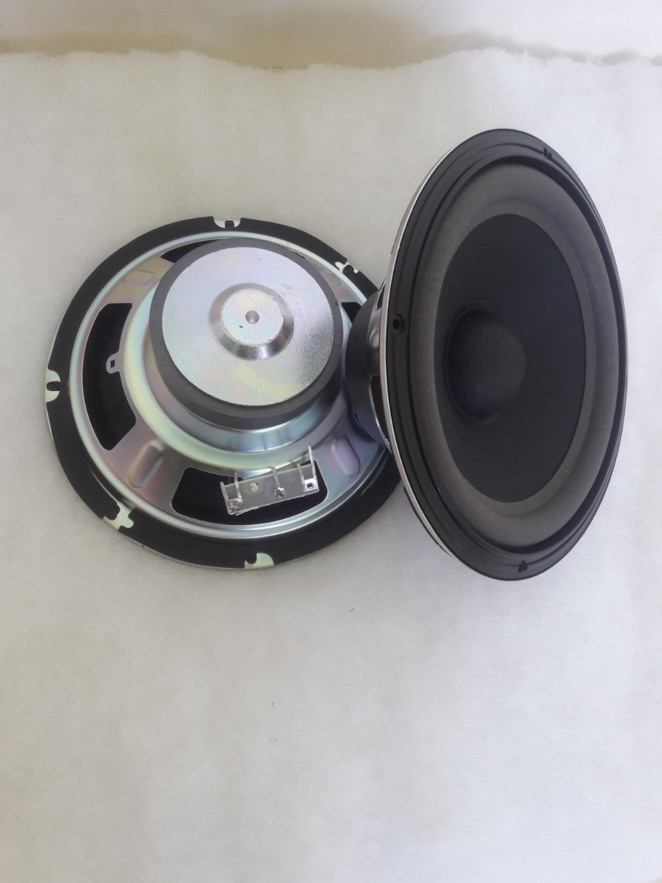 LOA BASS 20 BOSE CAO CẤP - GIÁ 1 CHIẾC
