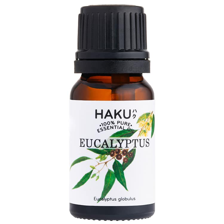 Eucalyptus Essential Oil