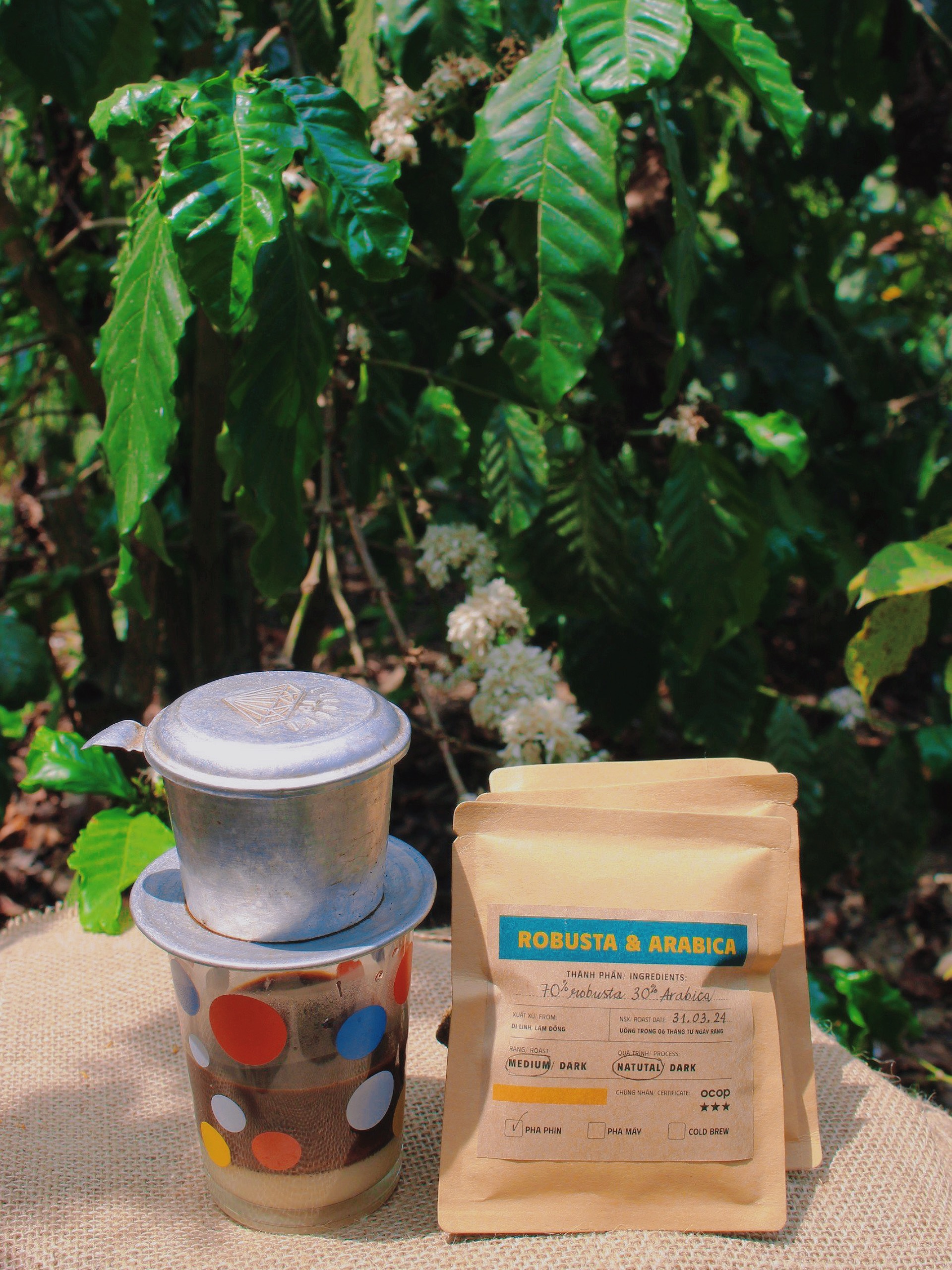 Cà phê Phin Giấy Tiện Lợi Drip Bag Coffee - 6Thọ Coffee