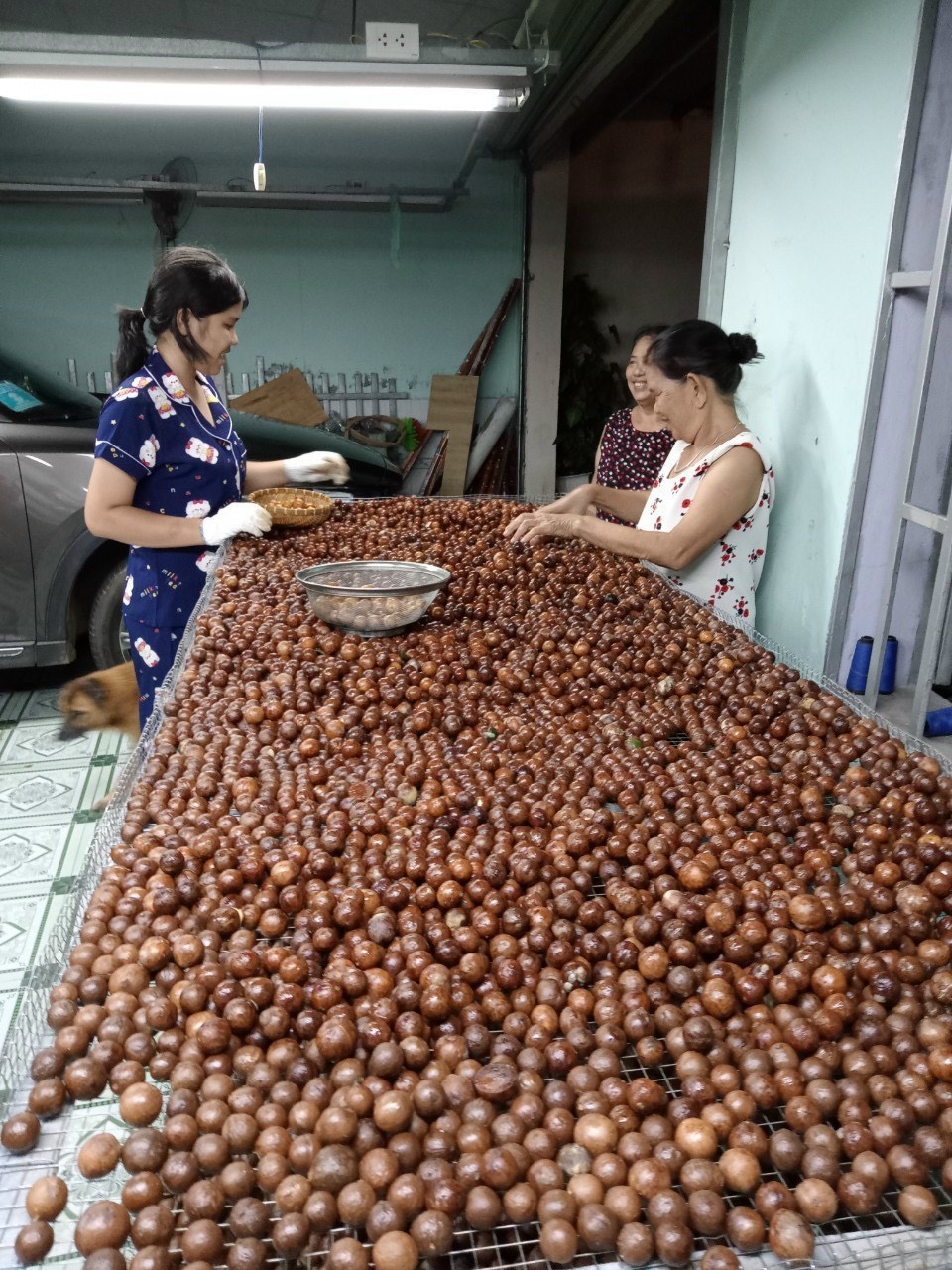 (HÀNG LOẠI 1)1KG HẠT MẮC CA NỨT VỎ DAKLAK, HẠT THƠM BÙI