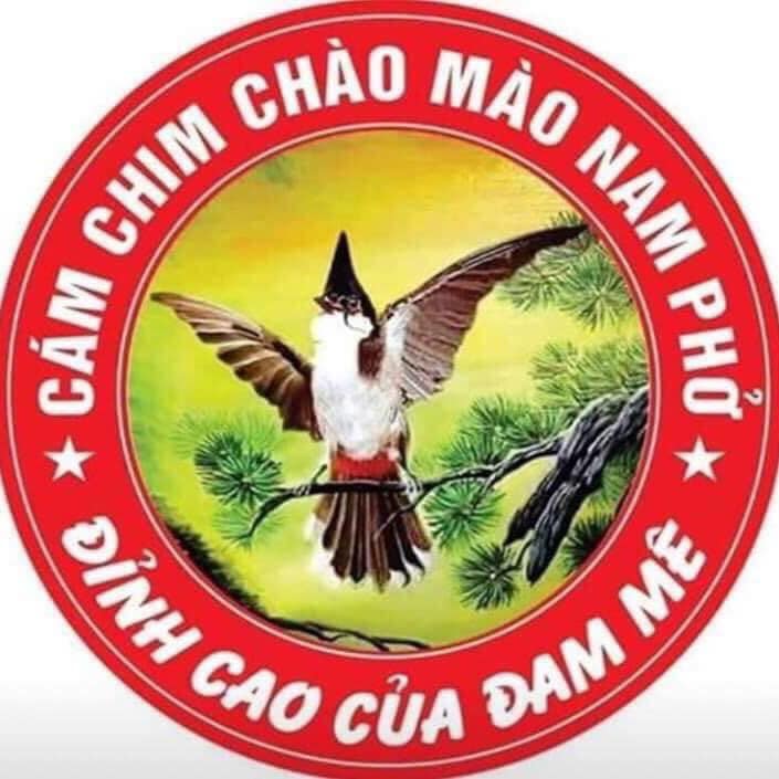 Cám Chim Thay Lông Nam Phở
