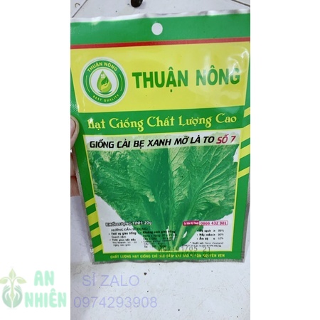 Hạt giống cải bẹ xanh mỡ lá to