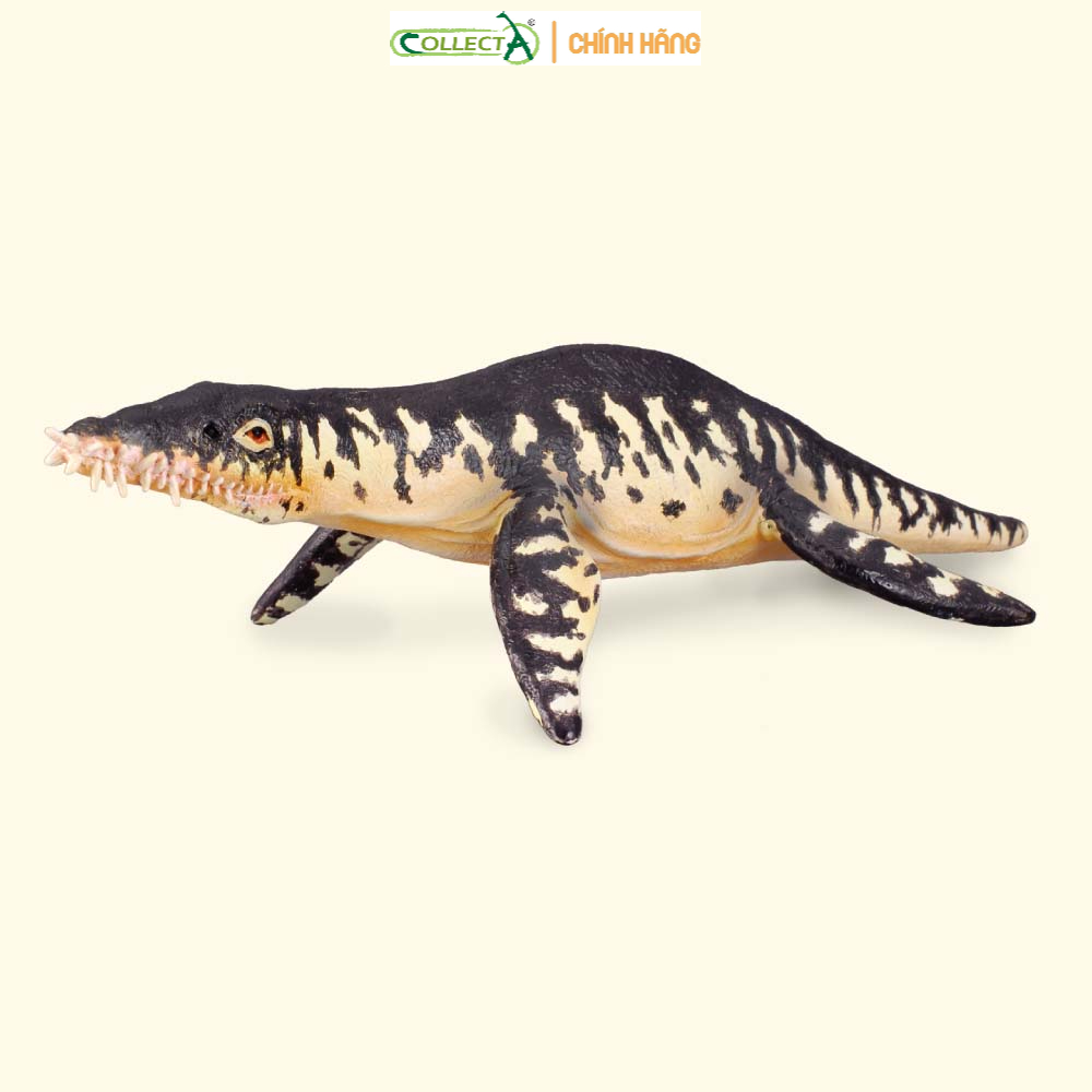 Mô hình động vật: khủng long liopleurodon