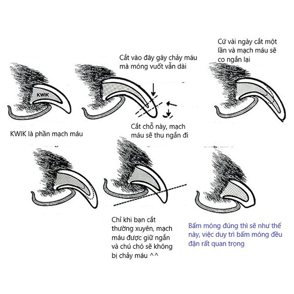 Kéo Kềm Cắt Móng Cho Thú Cưng Chó Mèo