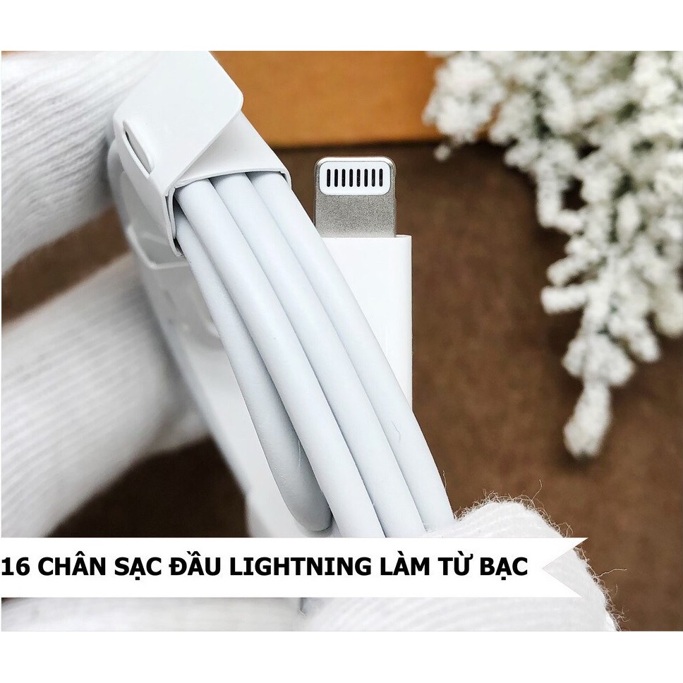 Dây Sạc Iphone Cáp Sạc Nhanh Type C To Lightning Iphone 11 Pro Max Zin Máy ( Full Box )