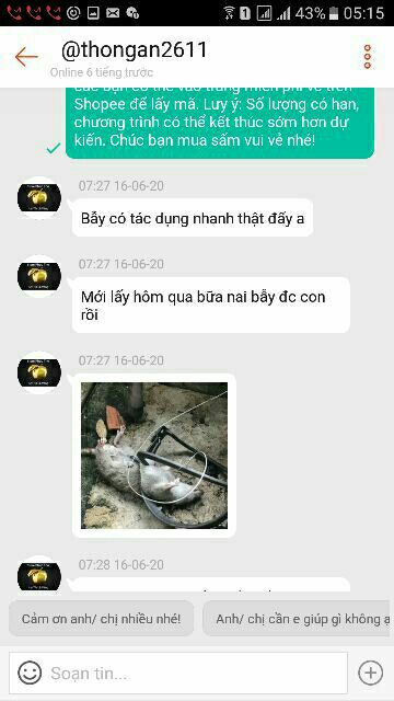 10 bẫy chuột 18cm có tặng khóa