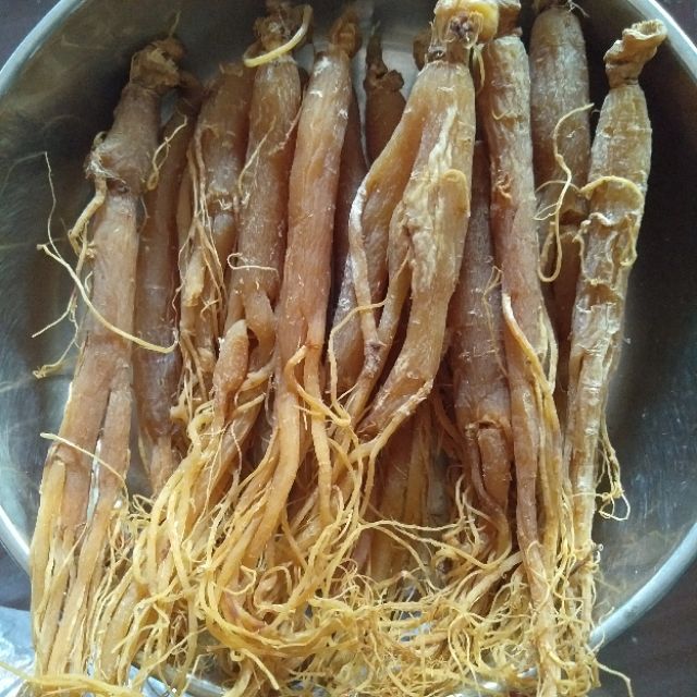 100gr củ nhân sâm khô