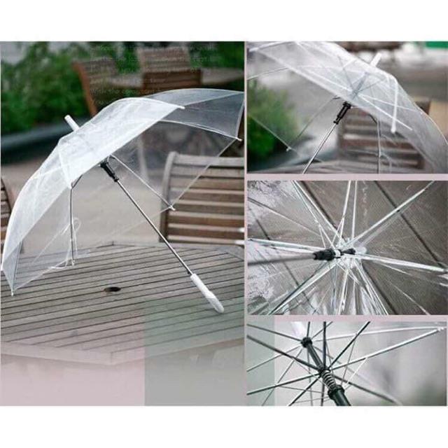 hot Ô TRONG SUỐT CÁN DÀI CÓ TAY CẦM
