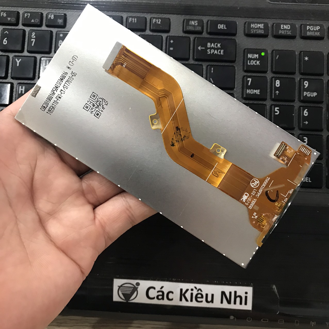 Itel	P13+ P13 Plus	Màn hình	LCD rời