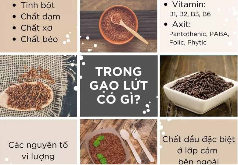Gạo Lứt Huyết Rồng