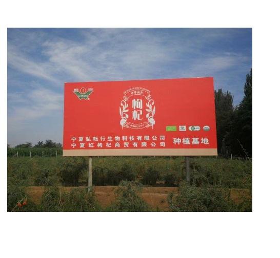 Trái Kỉ Tử Khô Hữu Cơ Ninh Hạ 200g ( Organic Goji Berries )