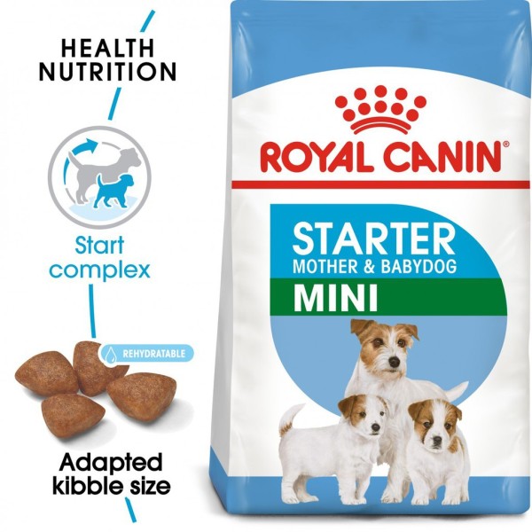 ROYAL CANIN MINI STARTER MOTHER & BABYDOG Dành cho chó size Mini (cân nặng tối đa 10 kg) và đang trong lứa tuổi dưới 2 tháng hoặc chó mẹ đang cho con bú. thức ăn hạt cho chó| thức ăn chó| hạt cho chó| đo ăn cho chó| thức ăn vặt cho
