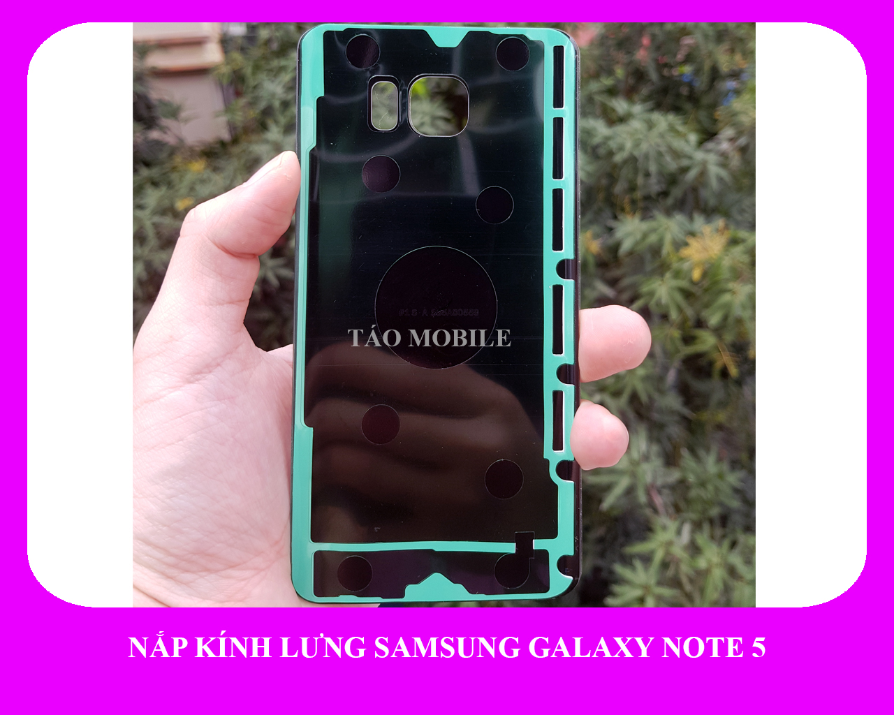 Nắp kính lưng Samsung Galaxy Note 5 zin công ty N920