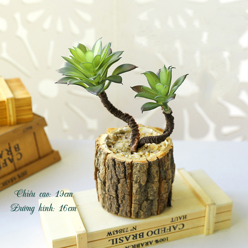 Cây giả - Chậu Sen đá Cổ Thụ (cả cây và chậu)