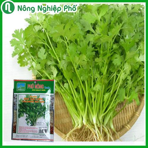 Hạt giống ngò Bạc Liêu Phú Nông - Gói 20 gram - Nông Nghiệp Phố