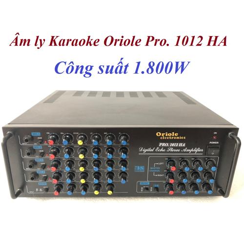 Amply karaoke Oriole Pro 1012HA 12 sò