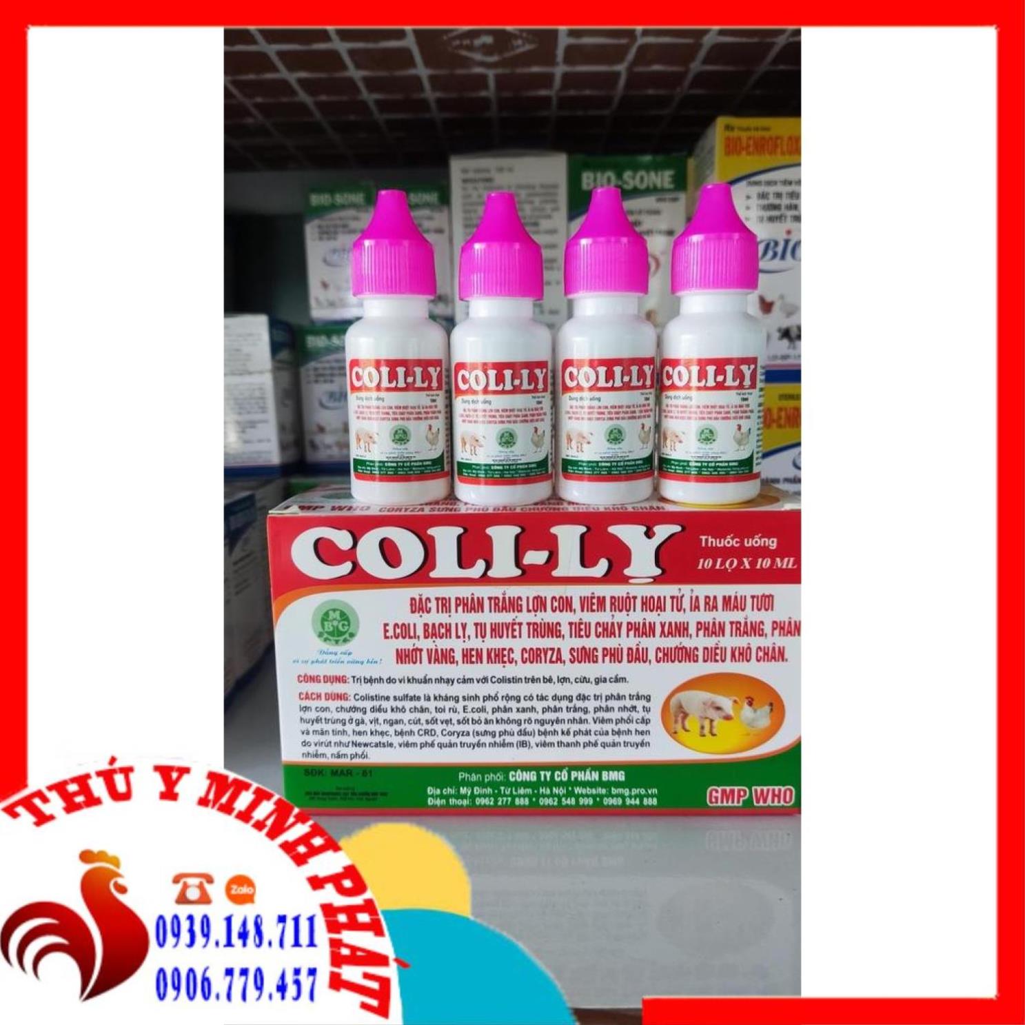 Coli lỵ 10ml - phân xanh phân trắng