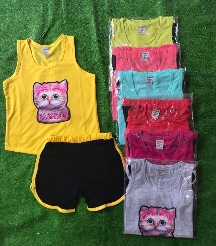 Nơi bán sét 4 bộ thun in mèo 19-23kg
