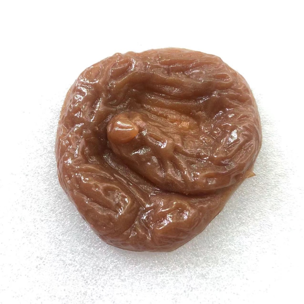 Cục phân giả💩( kèm 1 con gián, 1 con ruồi ) bãi phân đồ chơi
