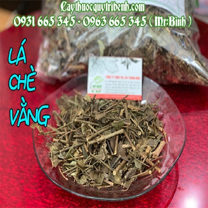 Lá chè vằng sẻ khô 1kg quảng trị cao cấp - dược liệu thanh bình