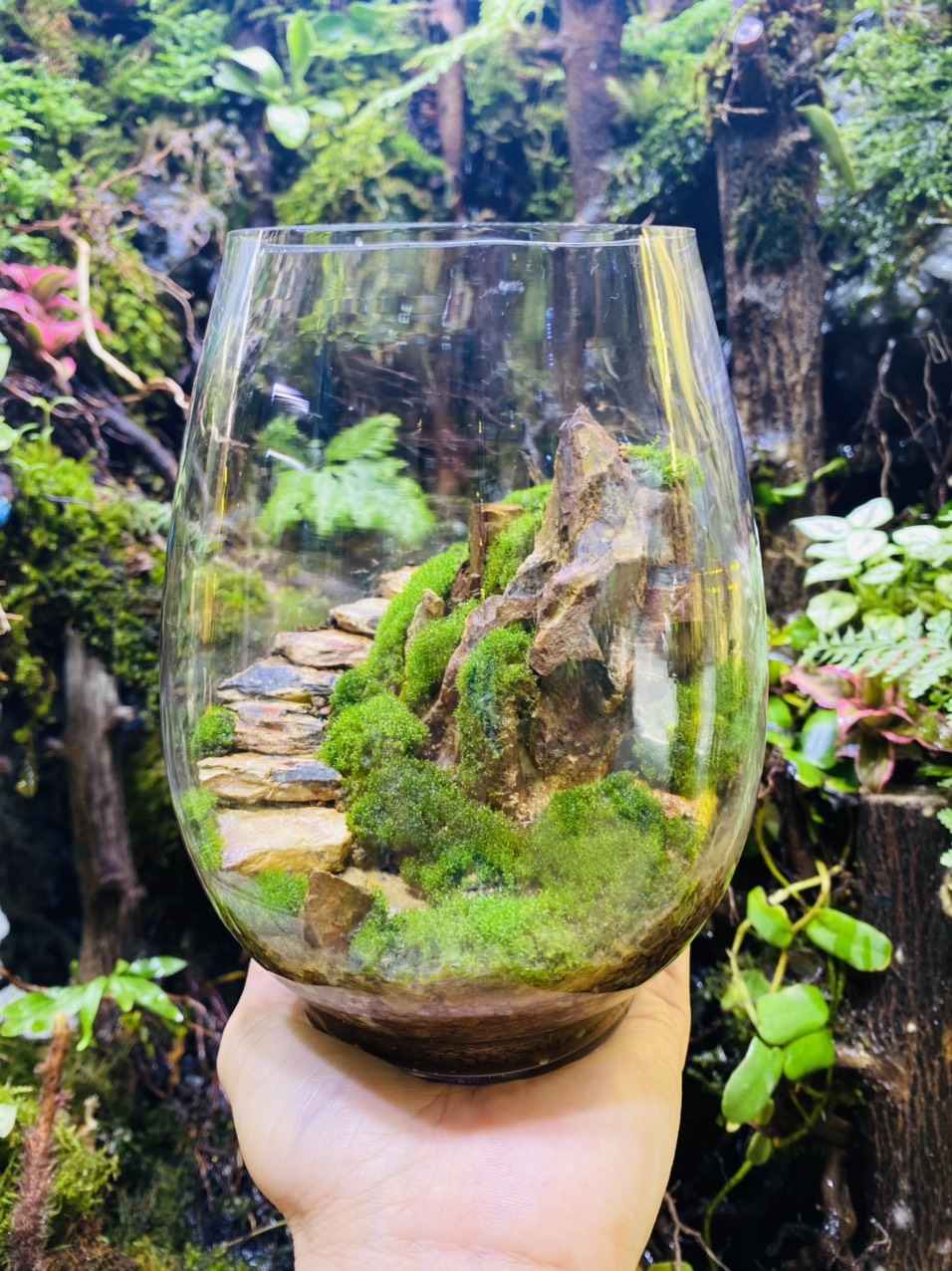 đá bậc thang trang trí tiểu cảnh, bình terrarium, non bộ, bể cá