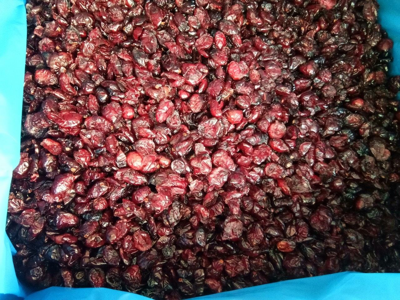 Việt quất khô 500g