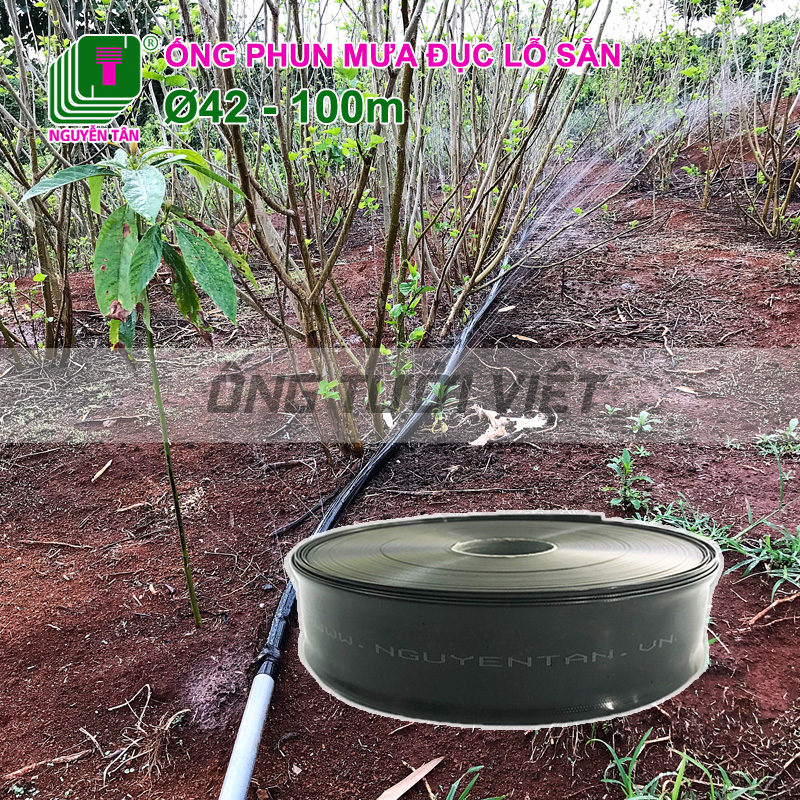 100m Ống dây tưới phun mưa Nguyễn Tân phi 42 đục lỗ sẵn BH 12 tháng Ống