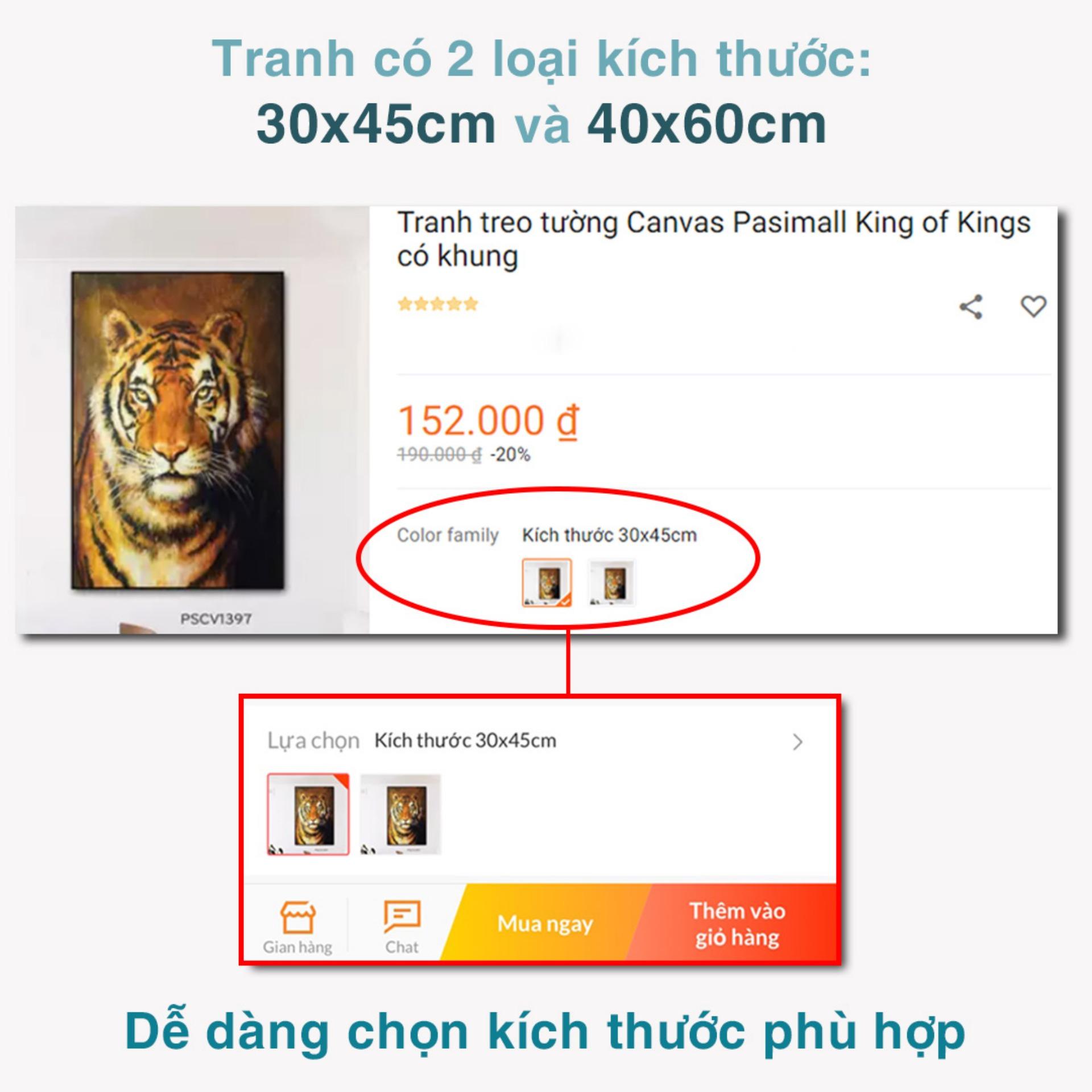 Tranh treo tường Canvas Pasimall Phật ngủ có khung