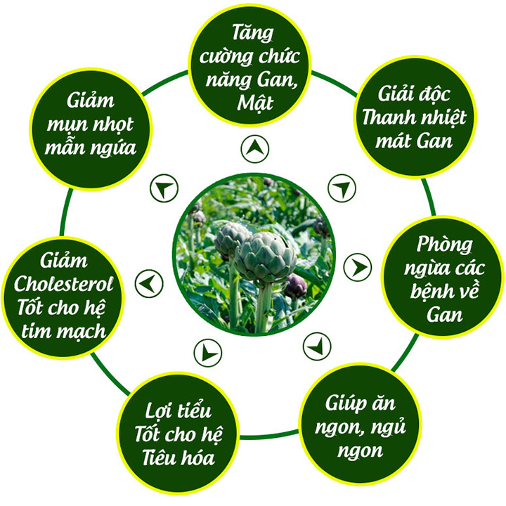 Cao Atiso Mềm ngọt hủ 200gr -Ngọc Duy