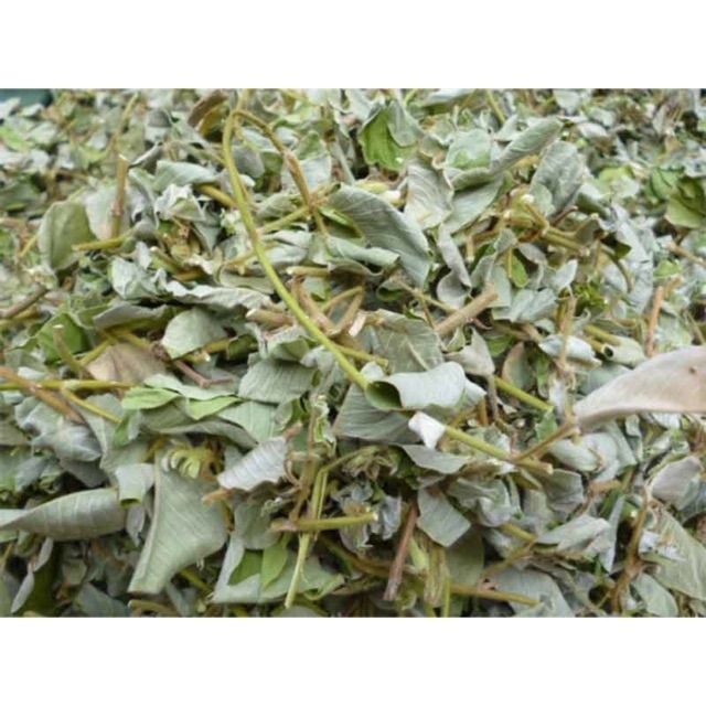 2kg kim tiền thảo