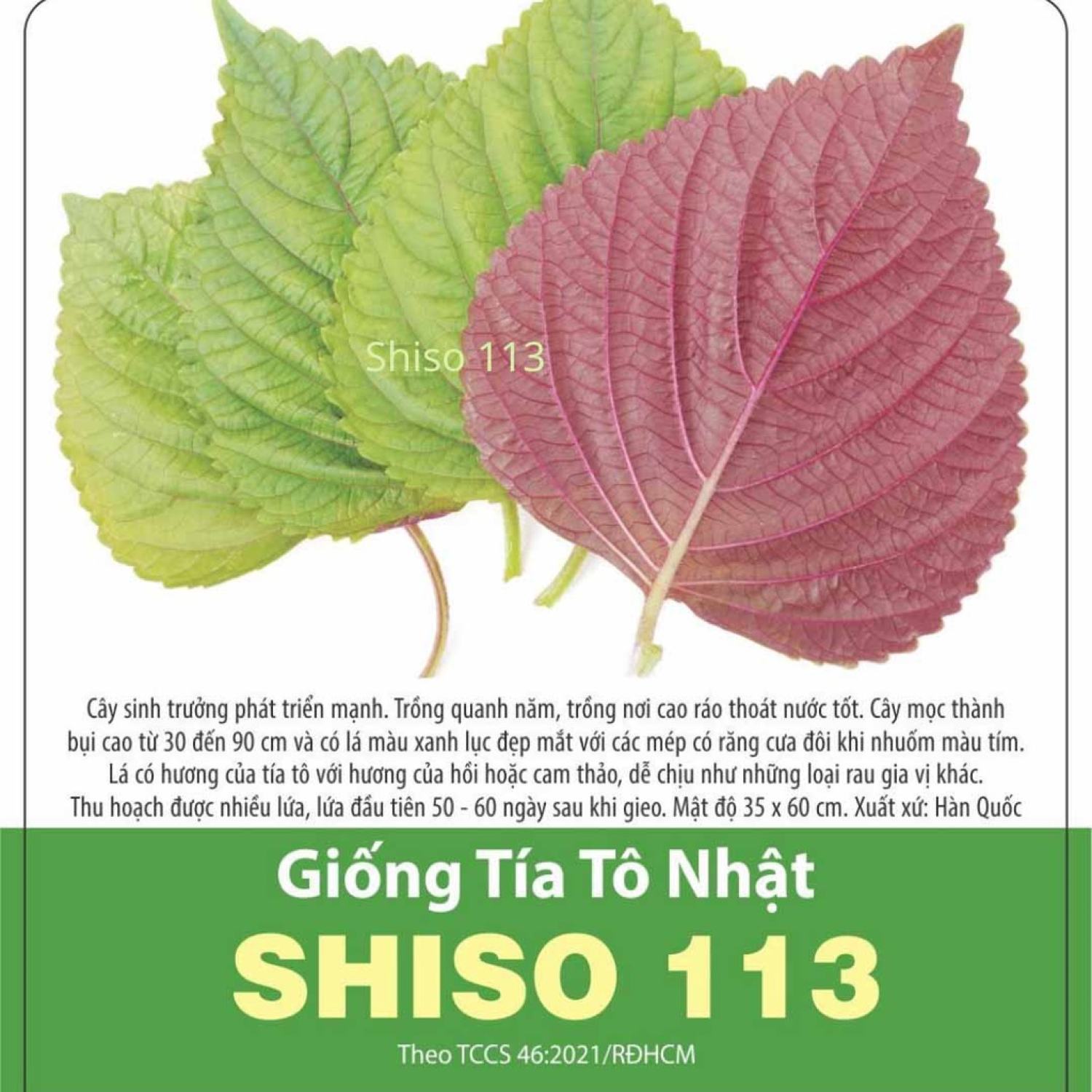 Hạt giống Tía Tô Nhật, gói 0,5 gram