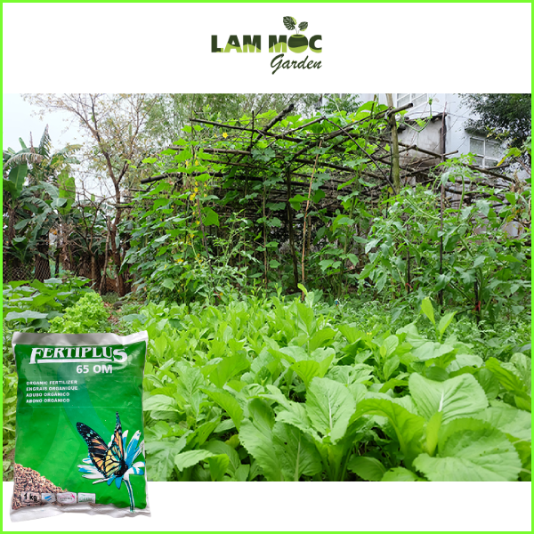 Phân Hữu Cơ Hà Lan Fertiplus - Gói 1 Ký