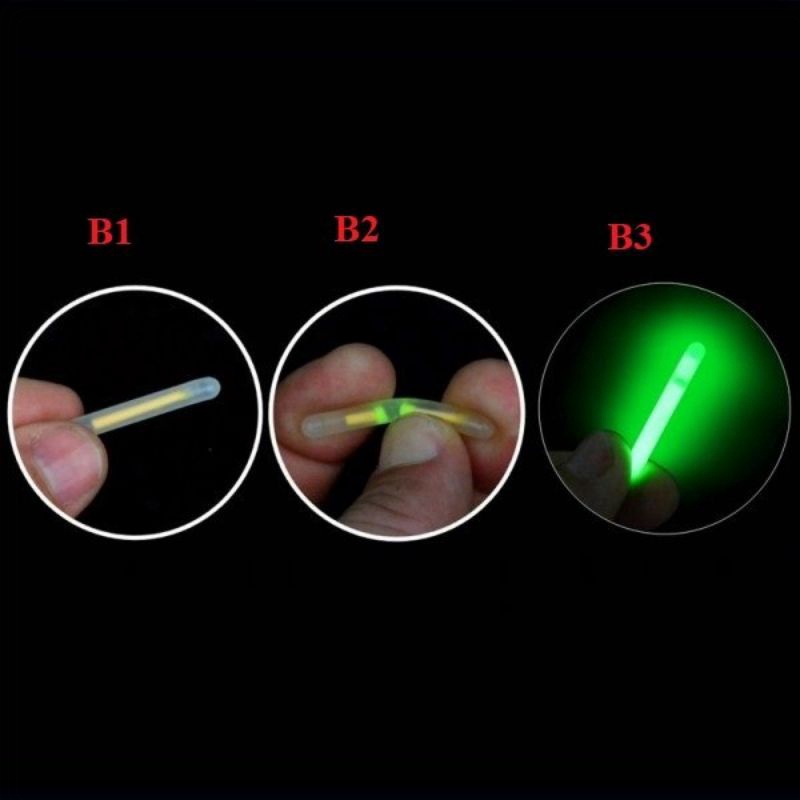 10 Phao Đèn Bẻ Câu Đêm Chuyên Câu