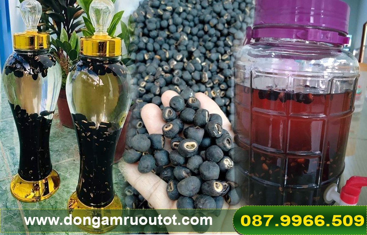 Chuối hột cô đơn Ninh Thuận