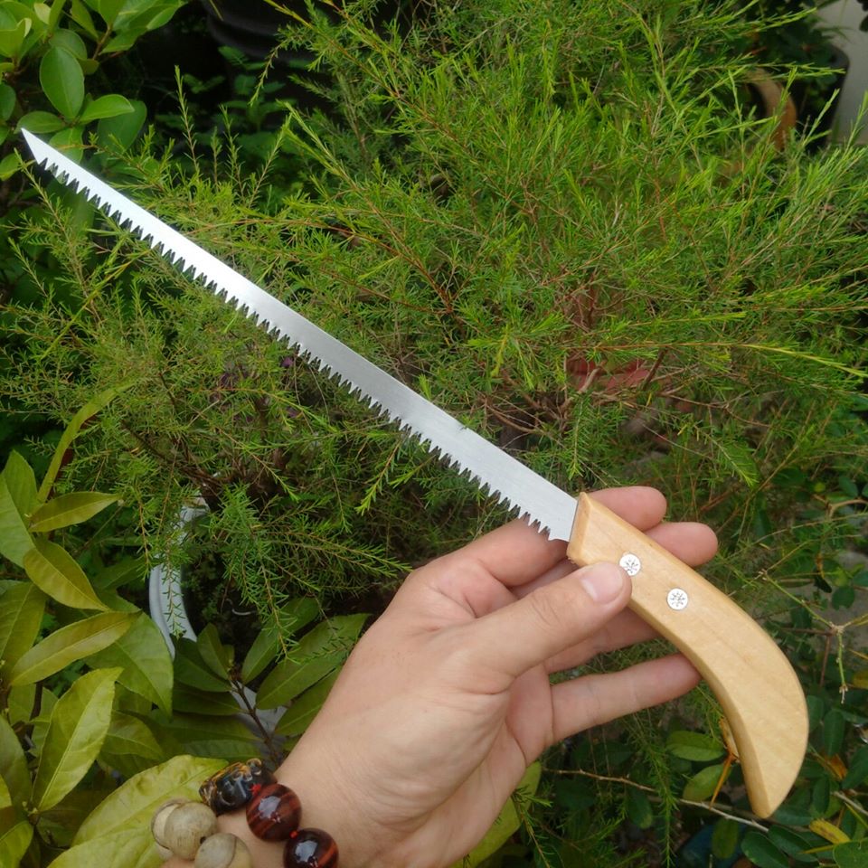 Cưa mini cưa cành trong vị trí hẹp - C99