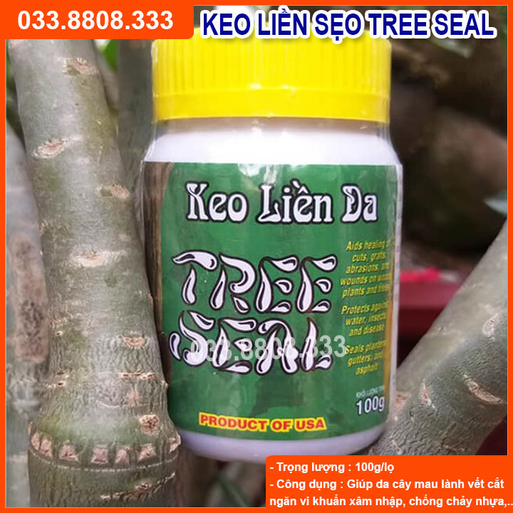 BỘ ĐỒ DÙNG CHUYÊN GHÉP UỐN CÂY ( DAO GẬP CÁN GỖ - DÂY XANH 50M- KEO GHÉP CÂY TREE SEAL 100ML)