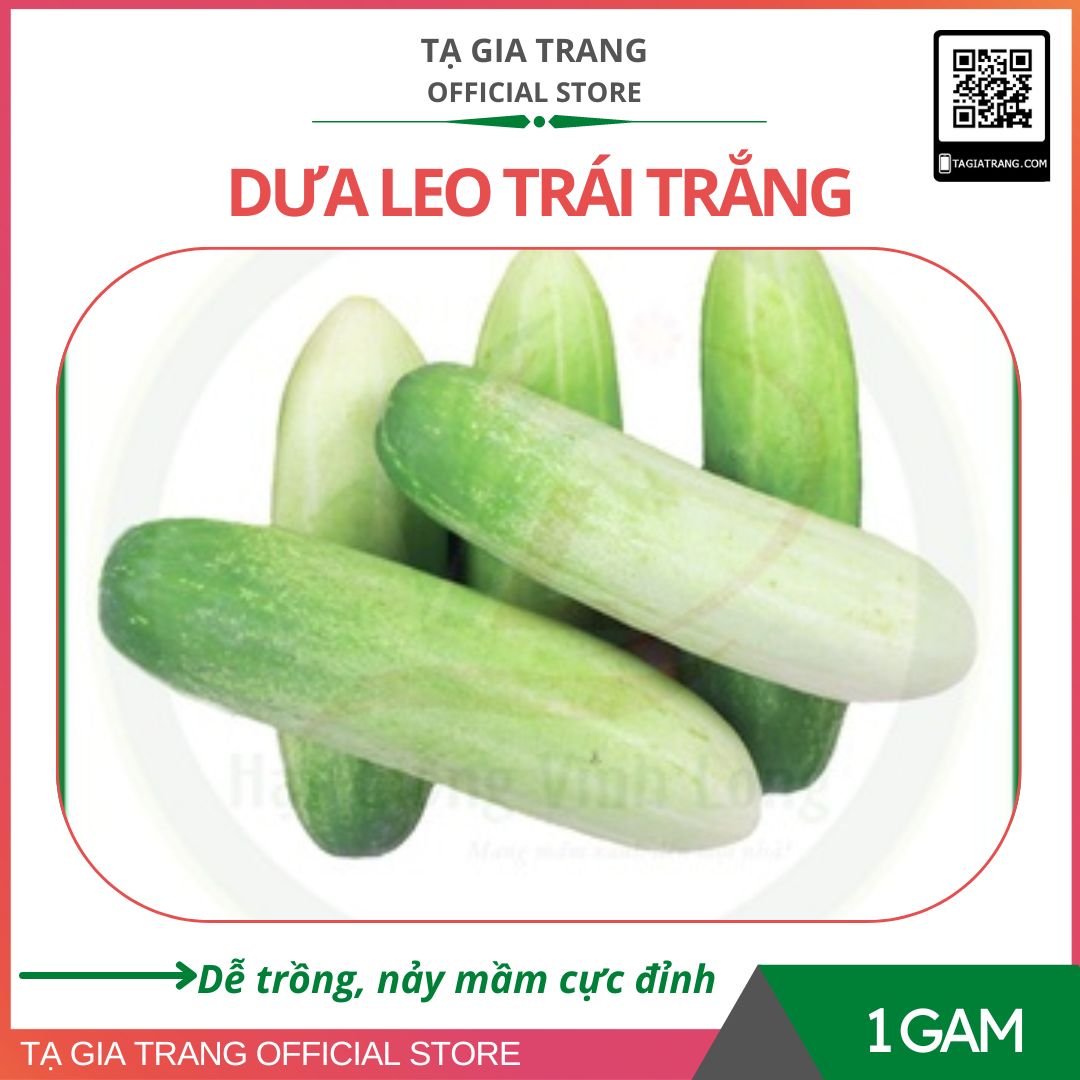 Hạt giống dưa chuột trắng - Gói 1GAM