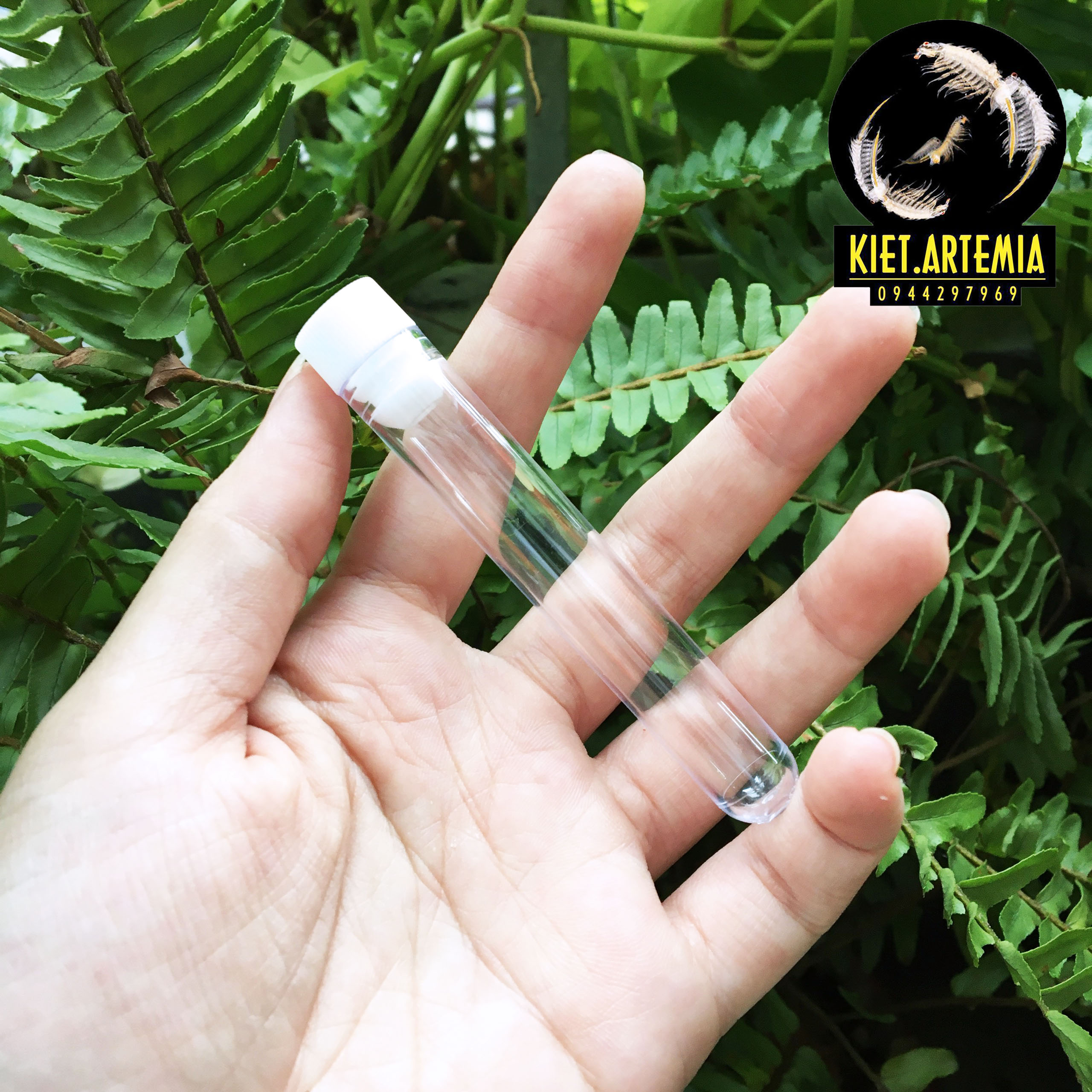 Ống Trữ Artemia, Thức Ăn Cho Cá