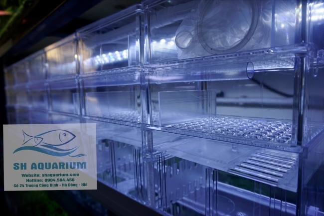 [HOÀN TIỀN 10%]HỆ THỐNG LỌC DÀN MƯA 3 TẦNG 100CM