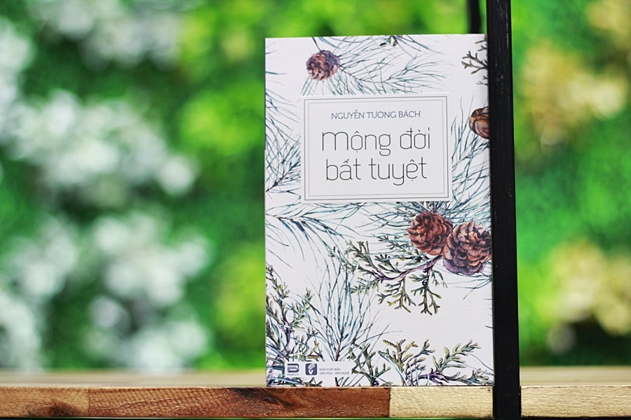 Sách - Combo Nguyễn Tường Bách (Mùi Hương Trầm, Mộng Đời Bất Tuyệt)