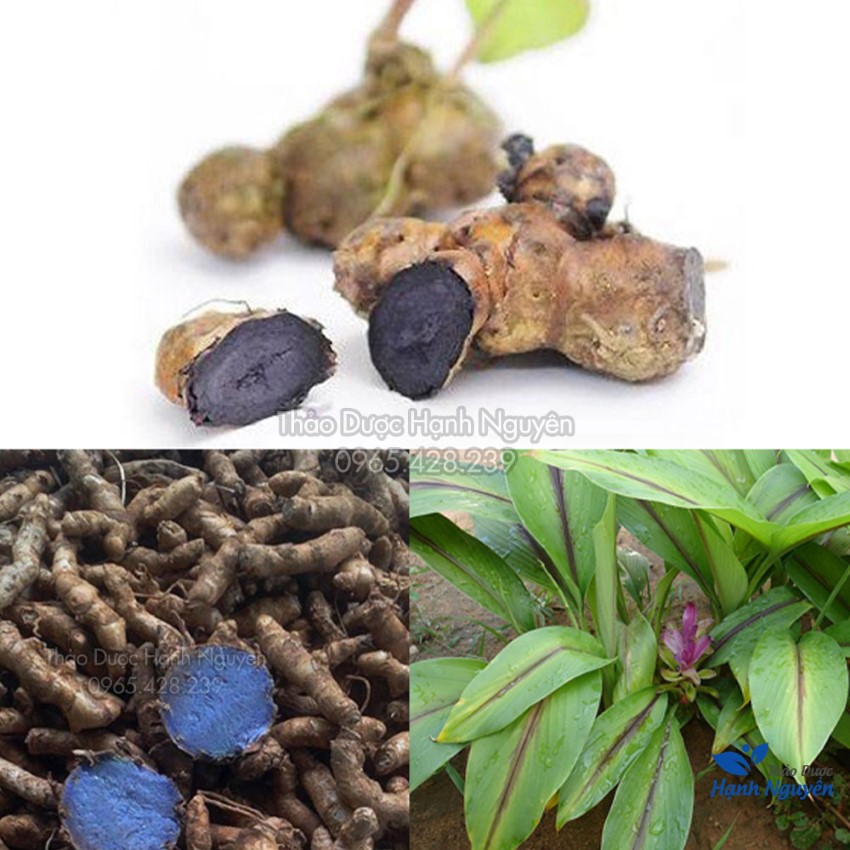 Bột nghệ đen nguyên chất 1kg, hỗ trợ tốt cho tiêu hóa, giảm đau dạ dày, đại tràng, làm đẹp da