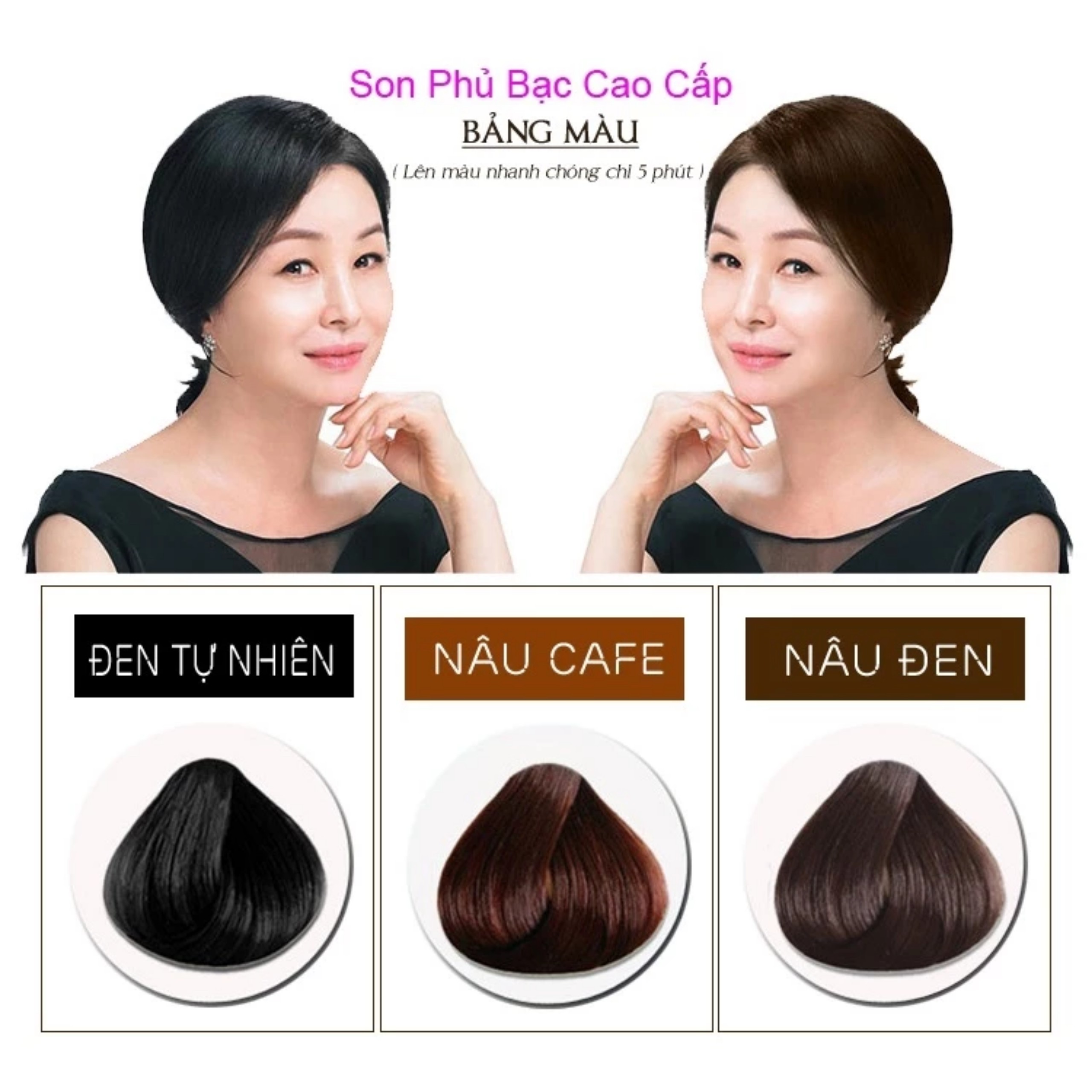 Son Nhuộm Tóc Bạc Thành Đen, Che Phủ Tóc Bạc Tạm Thời VDW 2. (Chính Hãng)