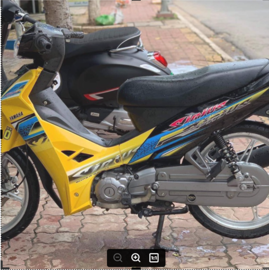 Tem rời Sirius hoa văn dán xe vàng bụng sau đen