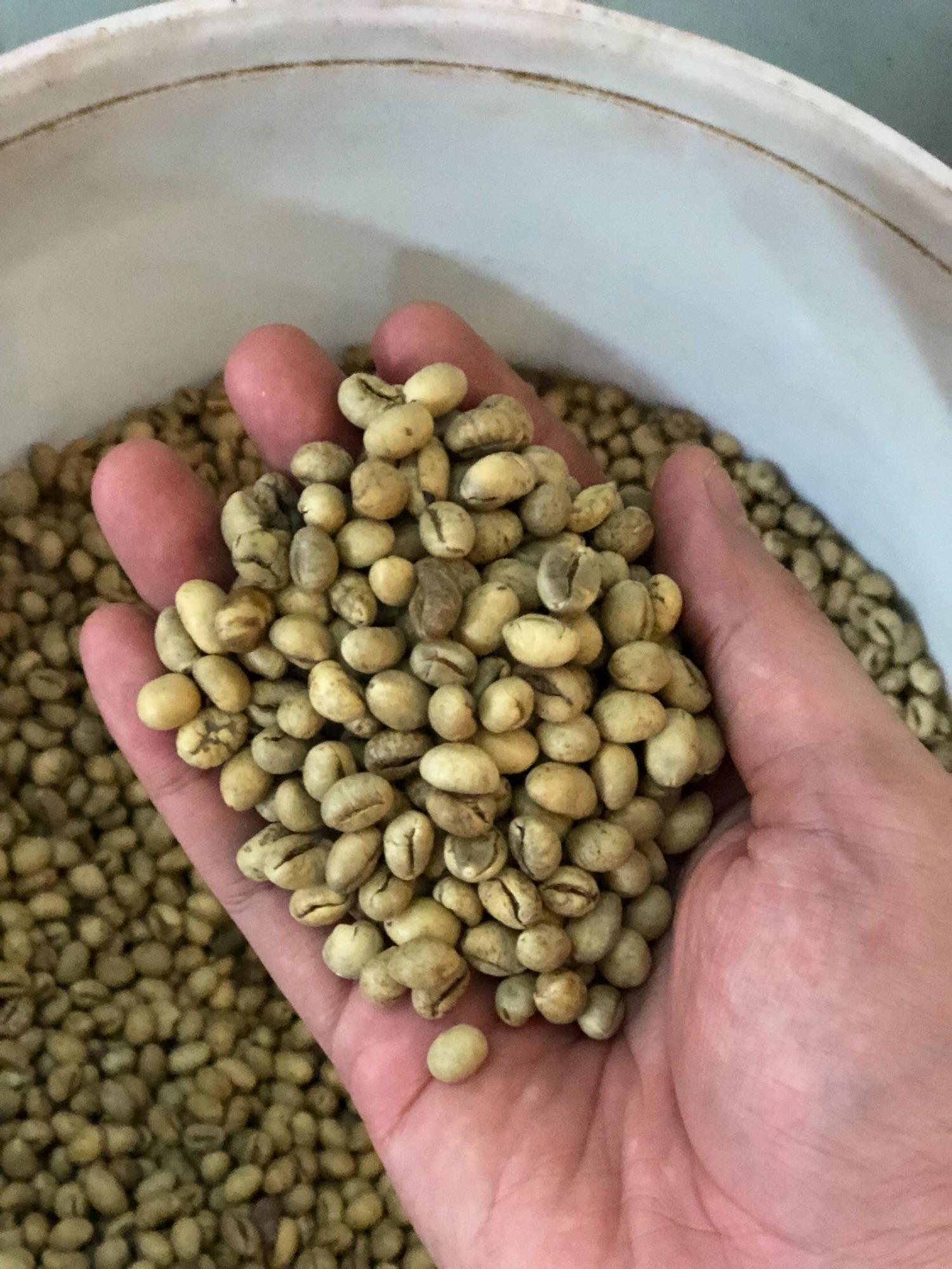Cà phê Ghiền PHUXUAN COFFEE 250gr- Cà phê bột pha phin