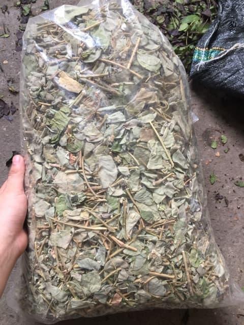 Kim tiền thảo khô 500g