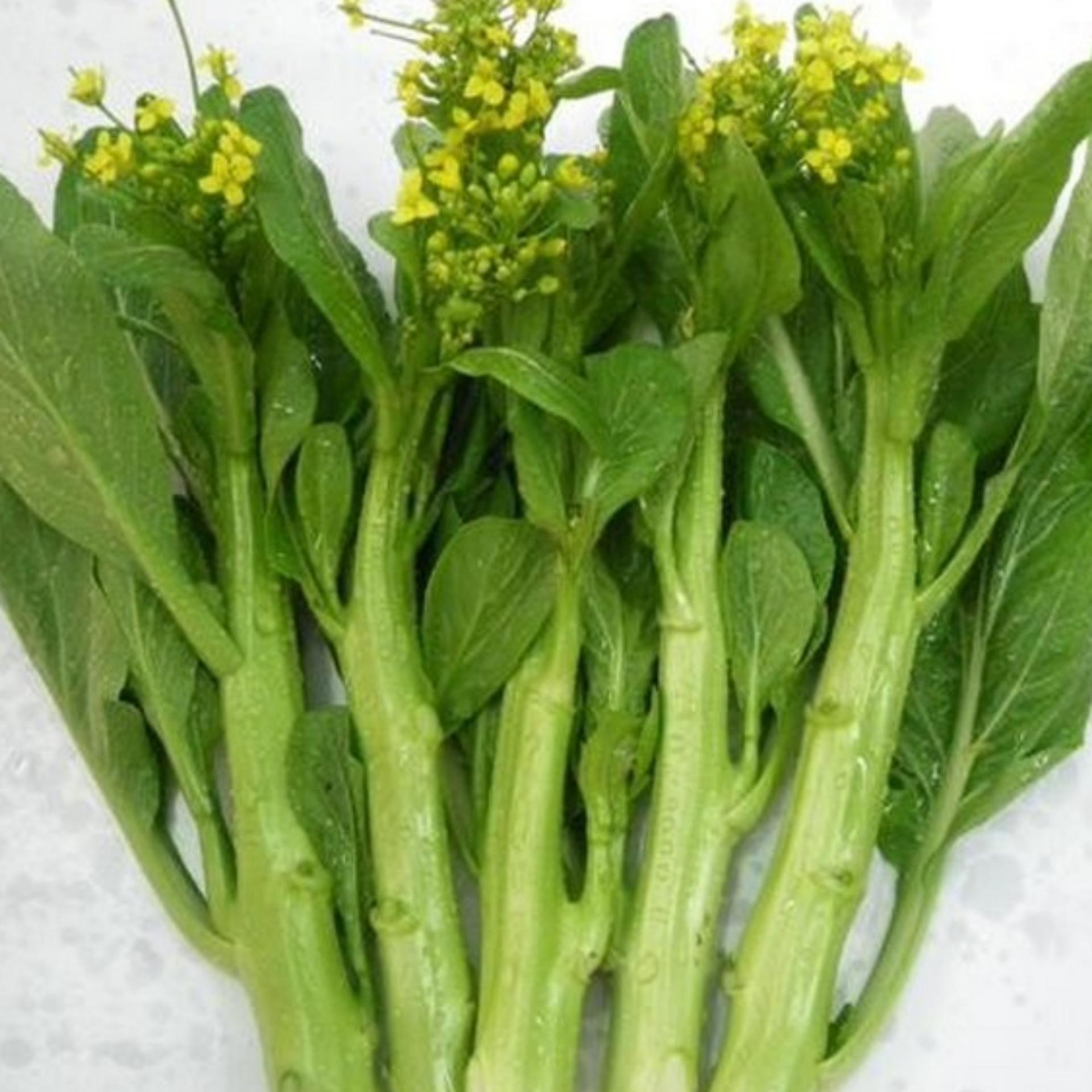 20g Hạt giống Cải ngồng